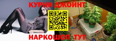 МДПВ Донецк