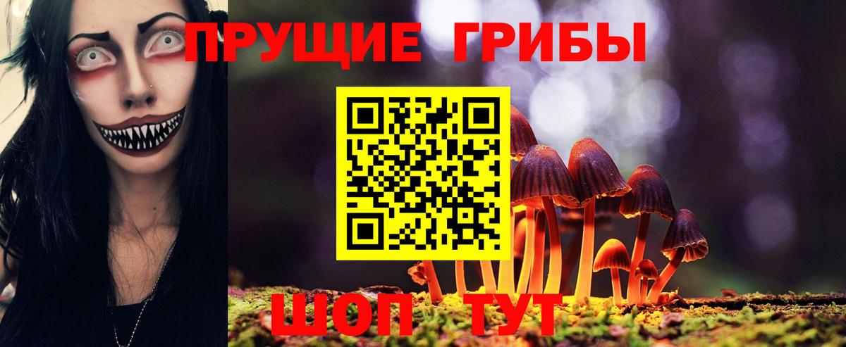 Псилоцибиновые грибы Psilocybe  Вход с VPN  Нальчик 