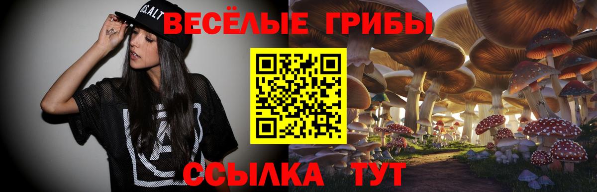Галлюциногенные грибы MAGIC MUSHROOMS Нальчик